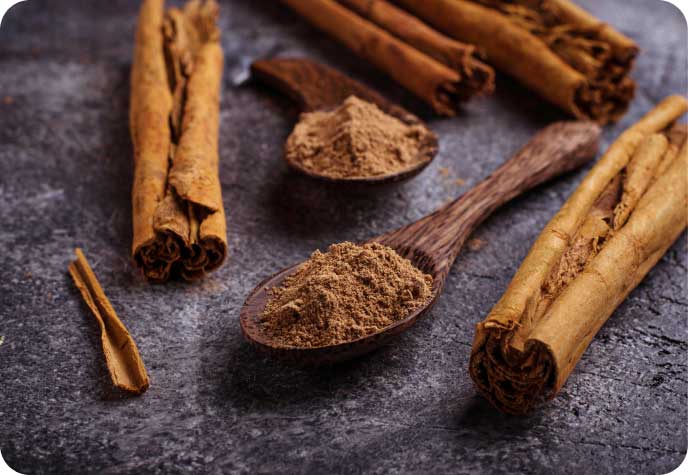 Cinnamon on Spoon and Quills